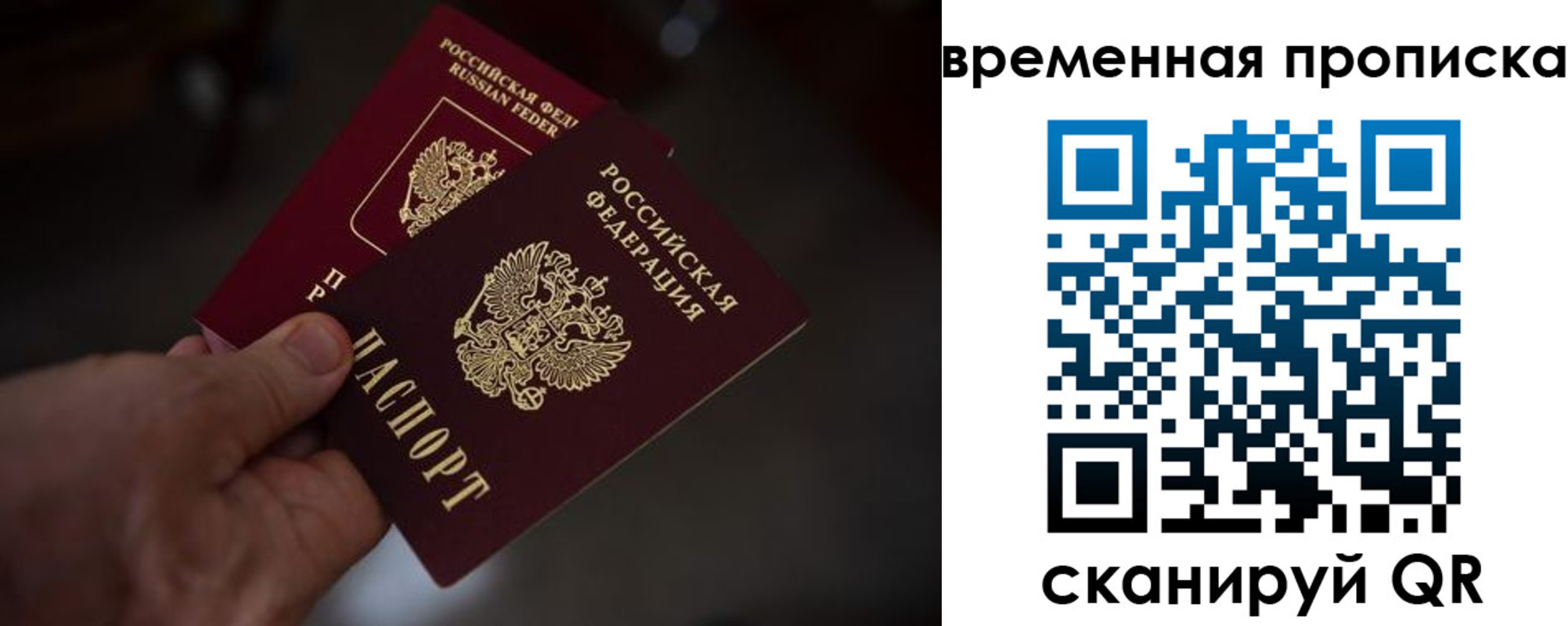 прописка в Владимирской области
